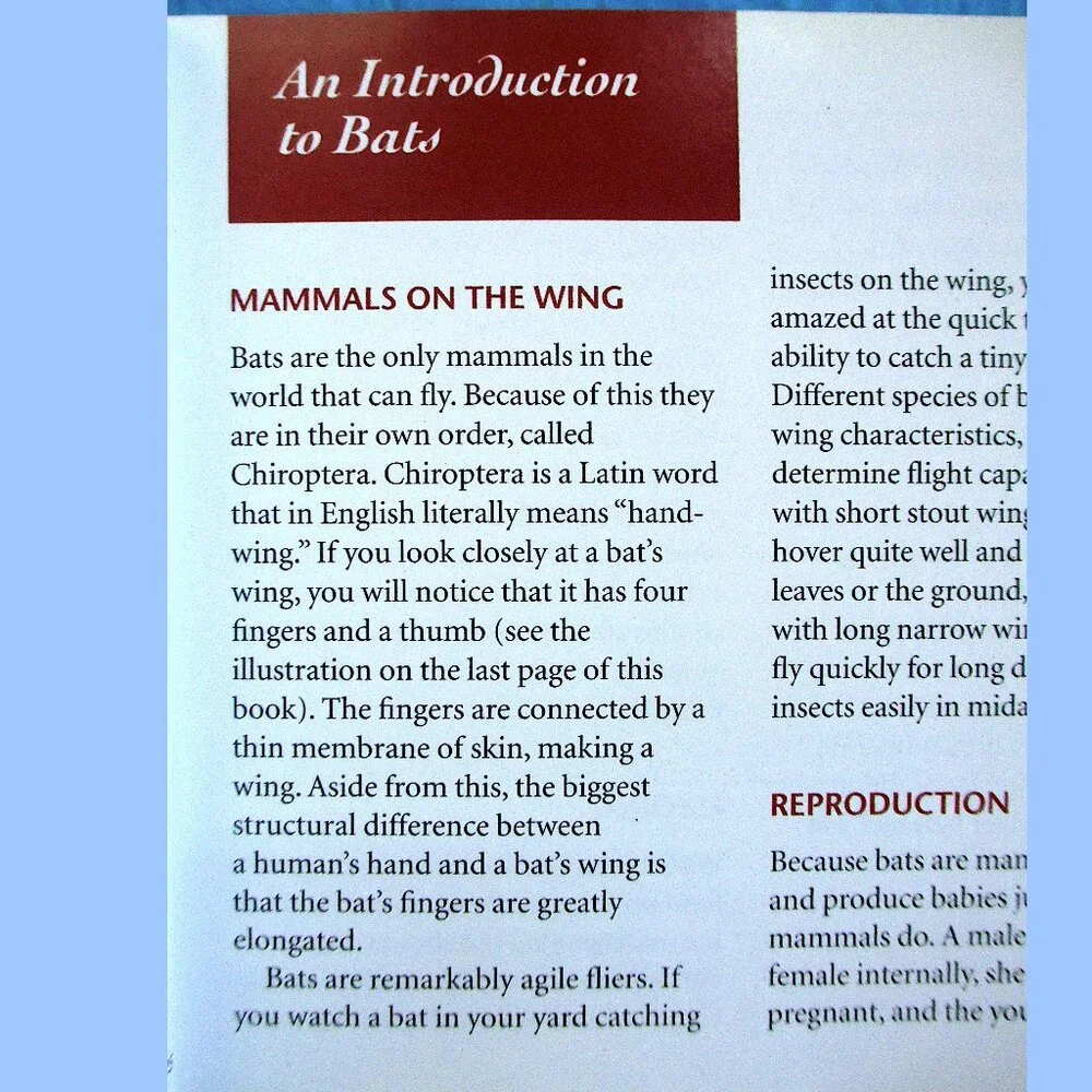 Book: Stokes Beginner's Guide to Bats -- a pocket-sized field guide - Picture 7 of 16